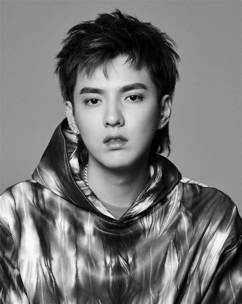 kris wu louis vuitton|More brands dump Chinese pop star Kris Wu after .